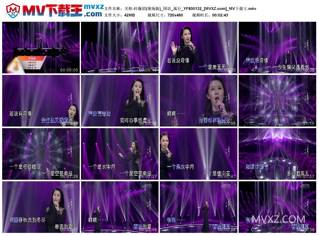 关彤-枉凝眉(现场版)_国语_流行_YF800132